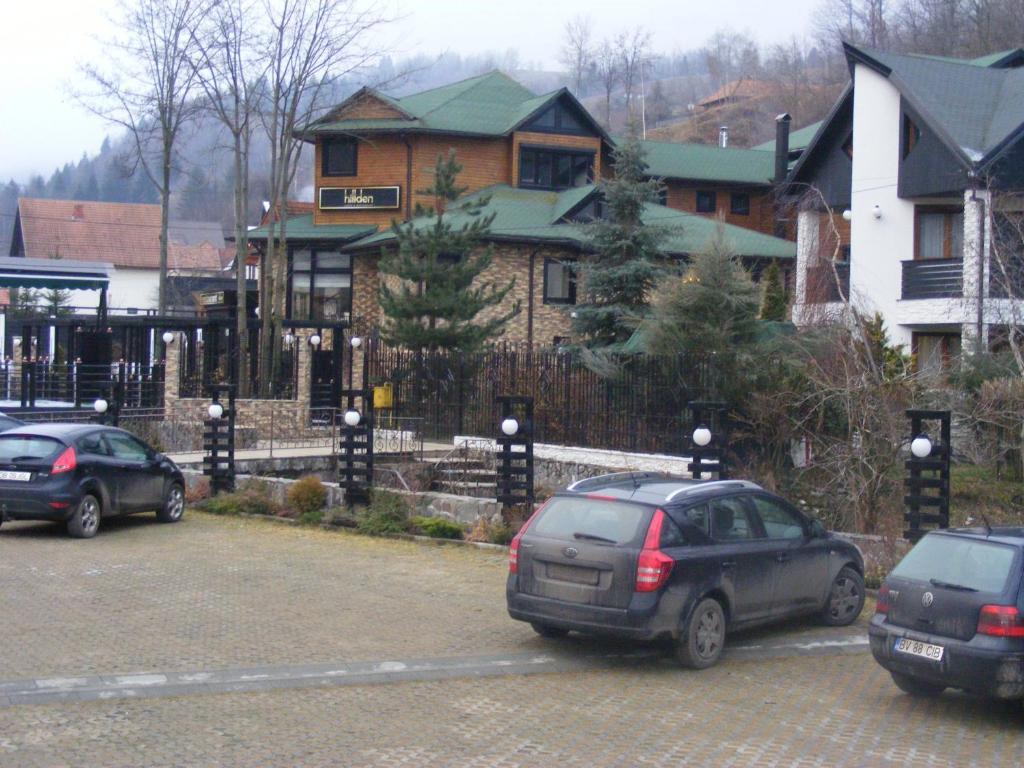 Hotel Hillden Lodge&Restaurant Drumu Carului エクステリア 写真