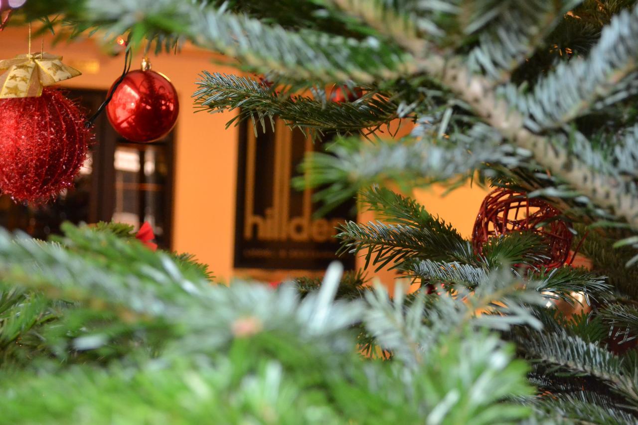 Hotel Hillden Lodge&Restaurant Drumu Carului エクステリア 写真