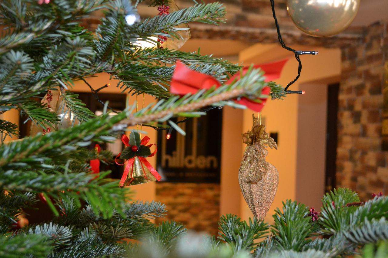 Hotel Hillden Lodge&Restaurant Drumu Carului エクステリア 写真